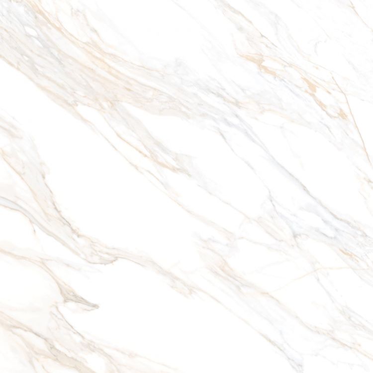 Aurum Calacatta Polished 48 x 48